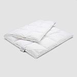 Schlossberg Eiderdaunen Bettdecke Duc Cotton Medium